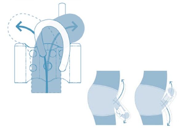 système reproducteur adolescent